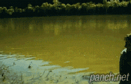 순수 나트륨을 호수에 던져보았다.gif