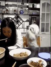 야 이정도 재롱 떨어주면 좀 주라고.gif