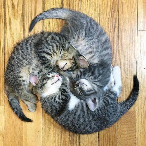 시공의 폭풍.jpg
