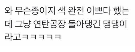 러시안블루댕댕.jpg