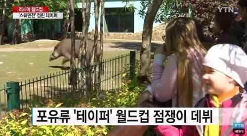 월드컵 새 점쟁이.jpg