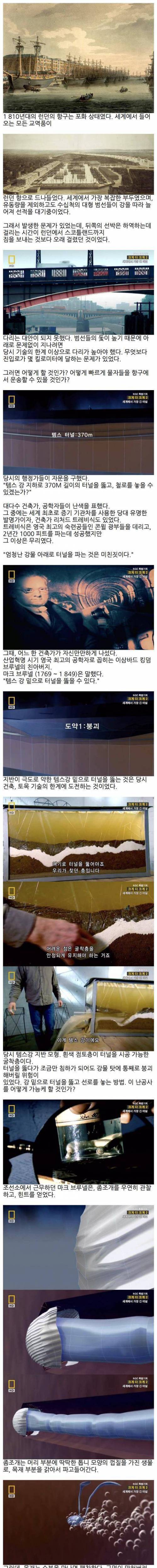 인간vs해저터널
