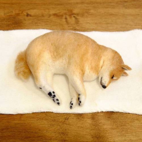 양모로 생명 창조.jpg