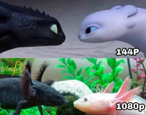 해상도에 따른 선명도 차이.jpg