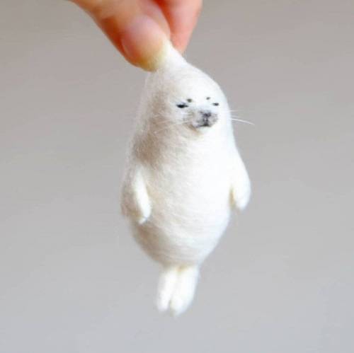 양모로 생명 창조.jpg