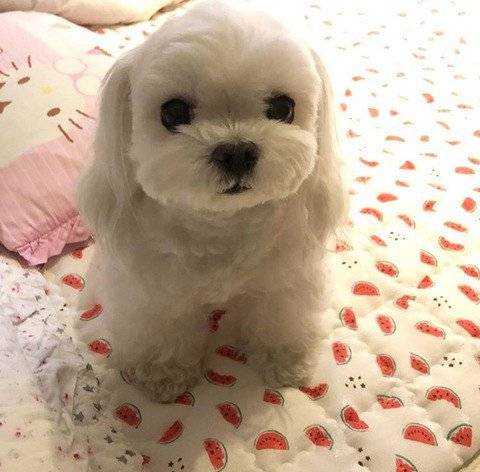 묶은거 푼거 어떤게 이뻐??.jpg