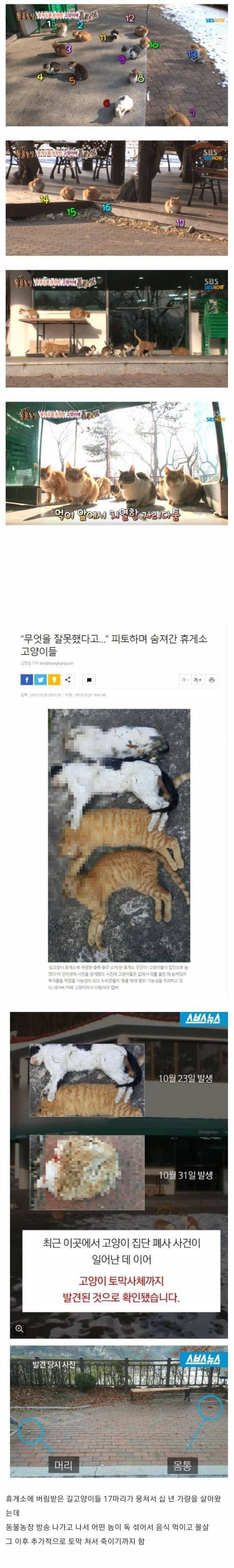 동물농장 방송이후.jpg