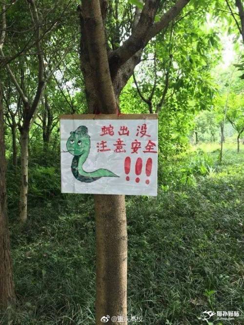 [뱀주의]중국 대학 기숙사에 쳐들어온 뱀의 말로.jpg