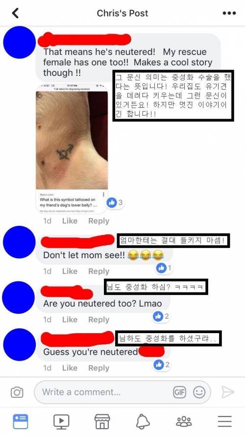 개의 문신을 나에게도 새겼다.jpg