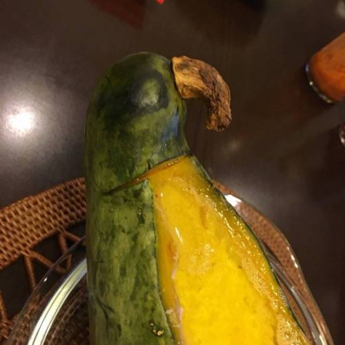 앵무새 구이.jpg