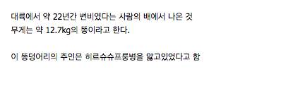 [혐주의]대륙의 22년동안 변비