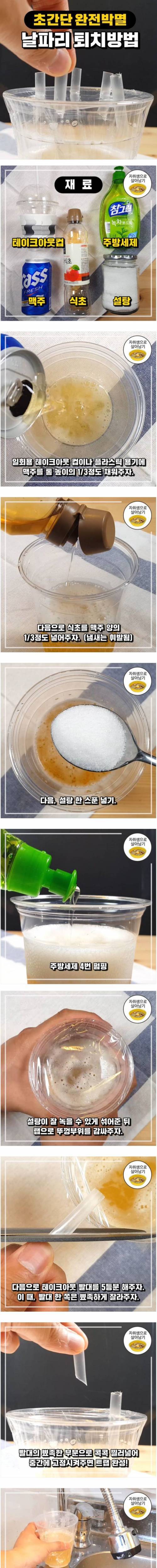 초강력 초파리트랩 만들기.jpg