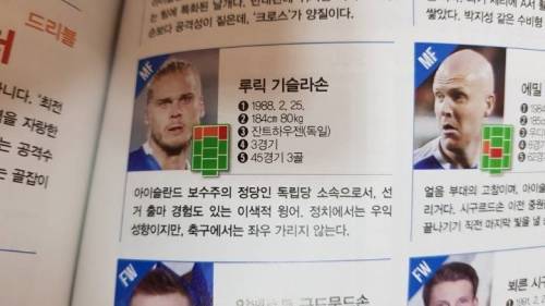 아이슬란드 겸업 레전드.jpg