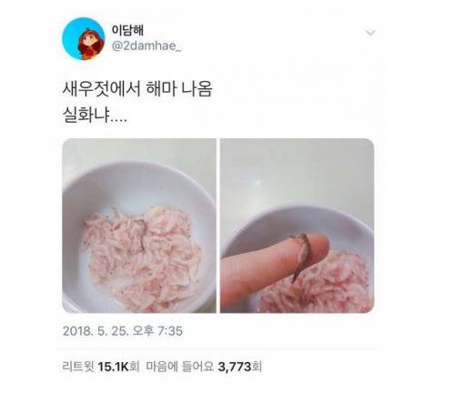 새우젓에서 해마 나옴.jpg