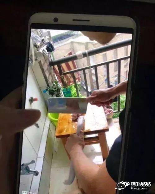 [뱀주의]중국 대학 기숙사에 쳐들어온 뱀의 말로.jpg