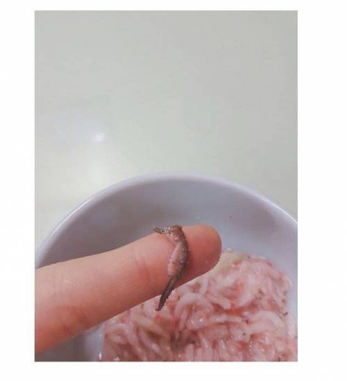 새우젓에서 해마 나옴.jpg