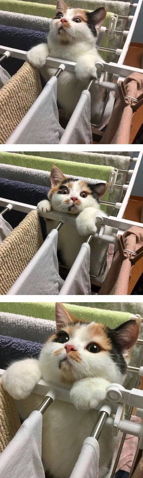 빨래 널다가 심장마비.jpg