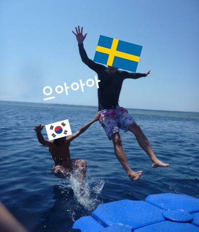 ???: 한국과 스웨덴은 다크호스다.jpg