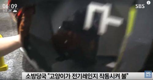 고양이 화나게 하면 안되는 이유.jpg