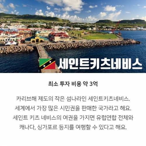 돈만 있으면 시민권 살 수 있는 나라.jpg
