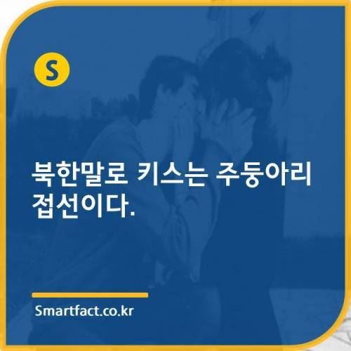 키스를 북한말로 하면?.jpg