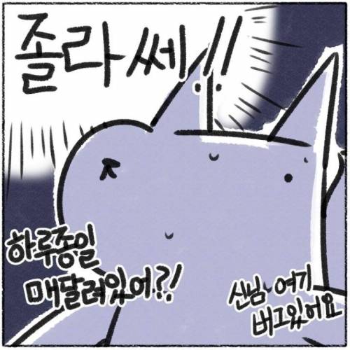 턱걸이 만화.jpg