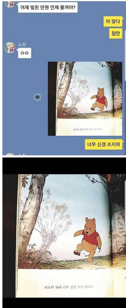 적절한 푸사용.jpg