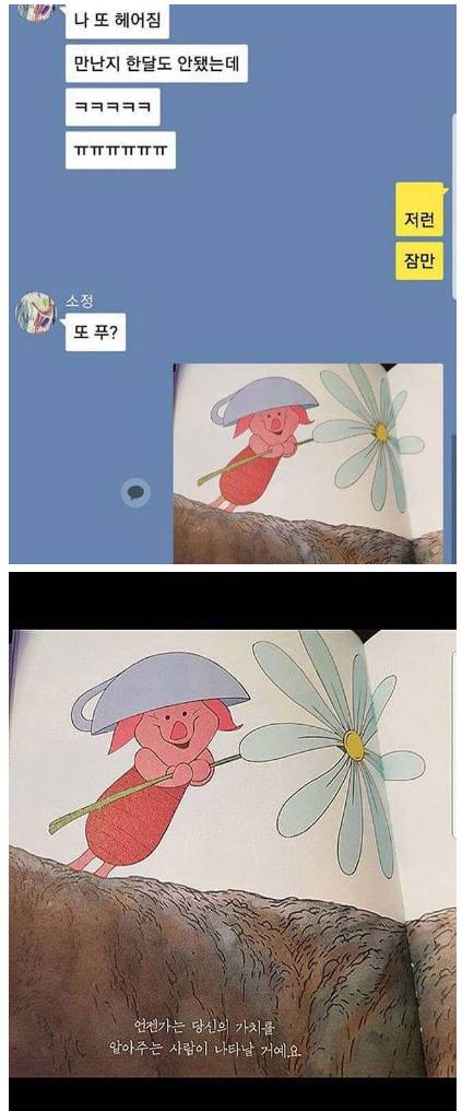 적절한 푸사용.jpg