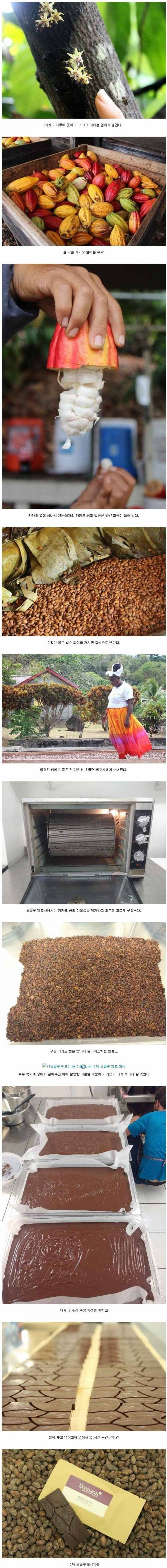 수제 초콜릿 제조 과정.jpg