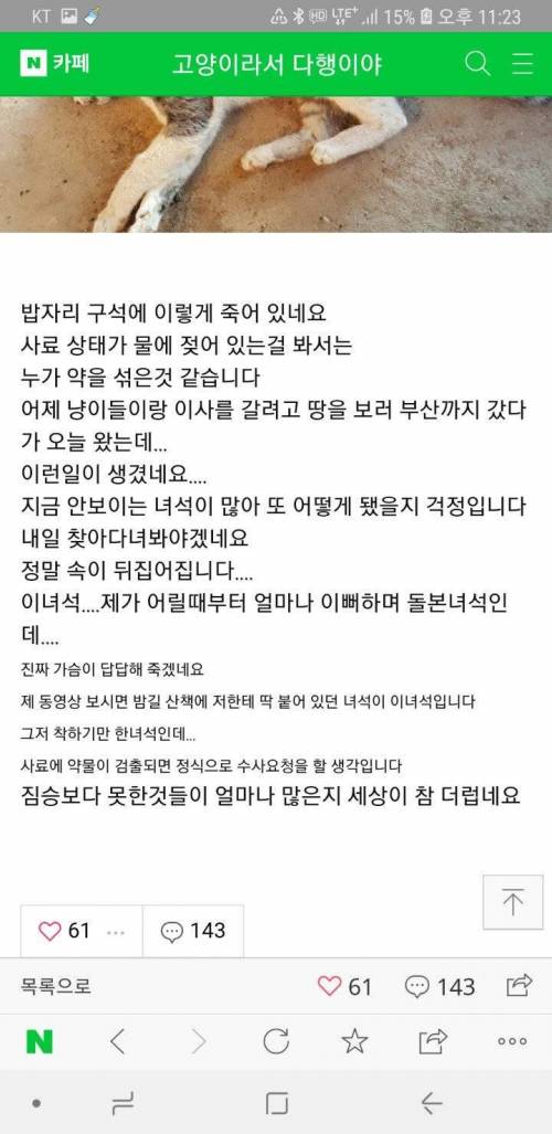 후원 받은 사료 줬다가 고양이 사망