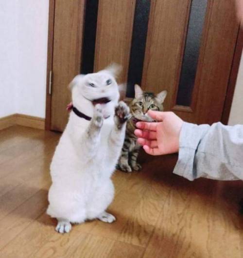우리애는 용돈 그렇게 많이 필요없어요.jpg