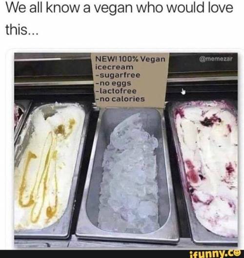 100% 비건 아이스크림.jpg