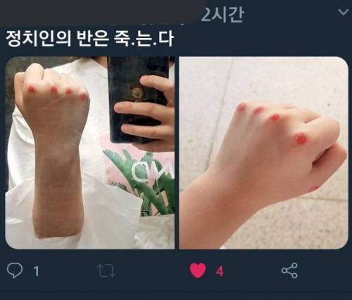 요즘 인기라는 투표 인증.jpg