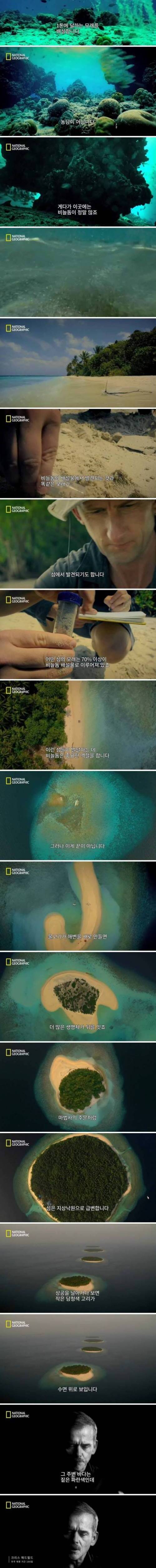 먹고 싸기만 해도 지구에 유익한 생물.jpg