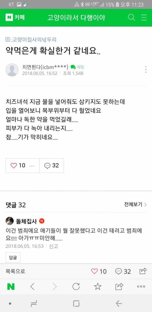 후원 받은 사료 줬다가 고양이 사망