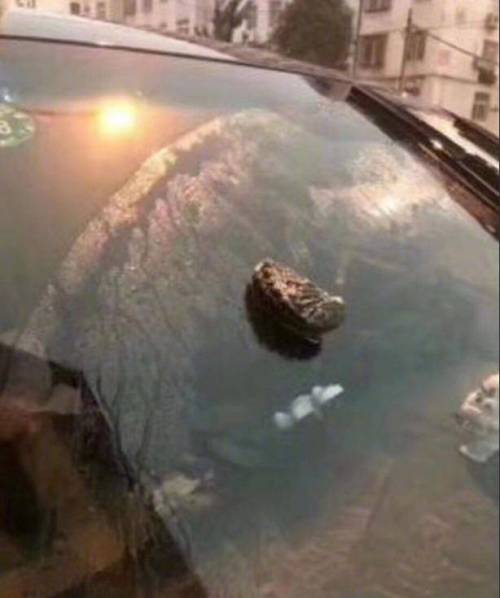 칭다오 폭우상황.jpg