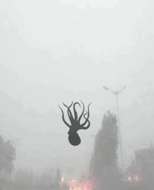 칭다오 폭우상황.jpg