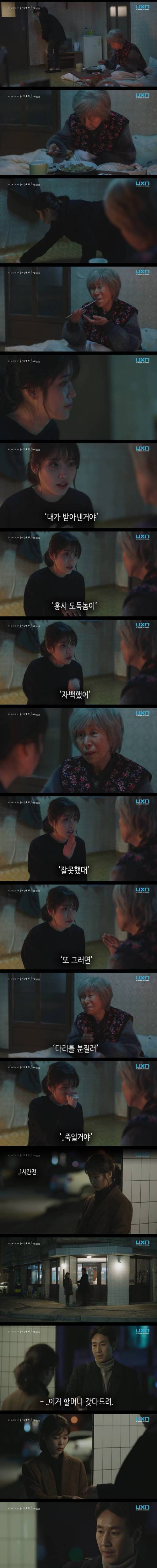 나의 홍시씨.jpg