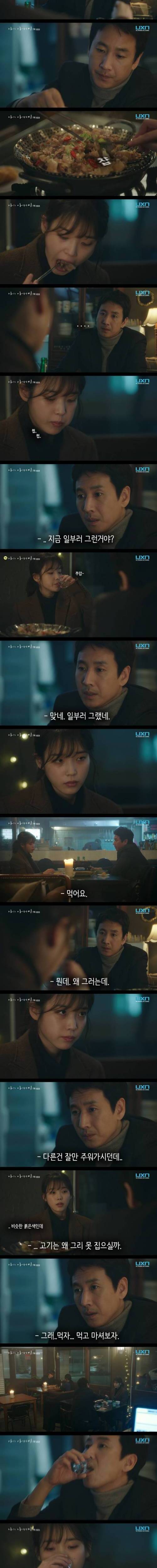 나의 홍시씨.jpg