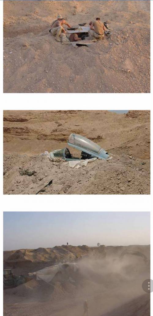 작년에 심었던 전투기가 다 자라 캐내는 모습.jpg