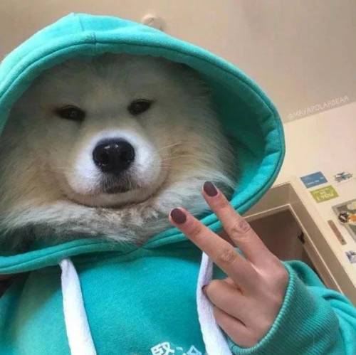 잘나온 셀카.jpg
