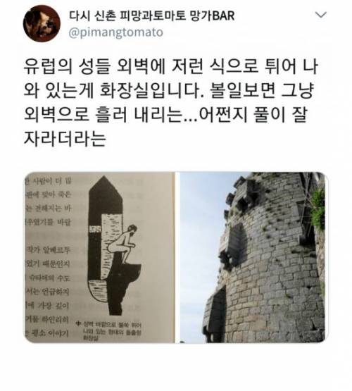 중세 유럽의 화장실.jpg