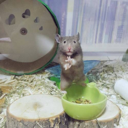 무한~.jpg