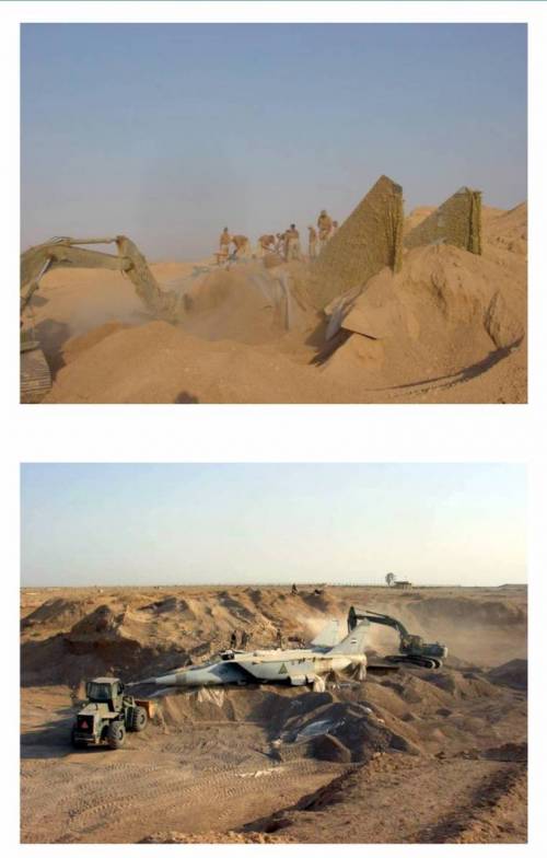 작년에 심었던 전투기가 다 자라 캐내는 모습.jpg