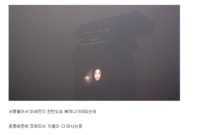 평화로운 대륙의 아침.jpg