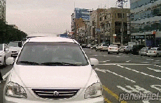 도로 위의 노답 배틀.gif