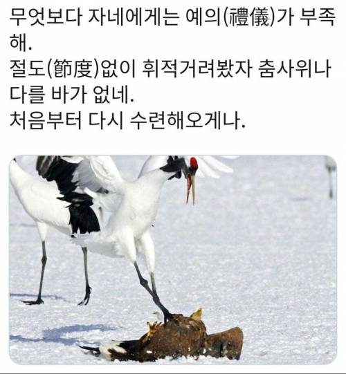 자네의 근골은 무학에 적합하지 않아.jpg