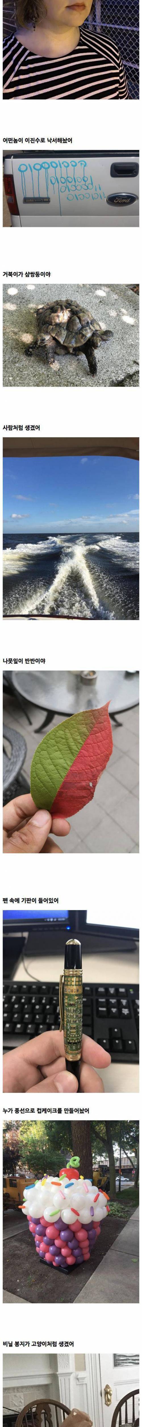 소소하게 흥미로운 외국 사진들.jpg