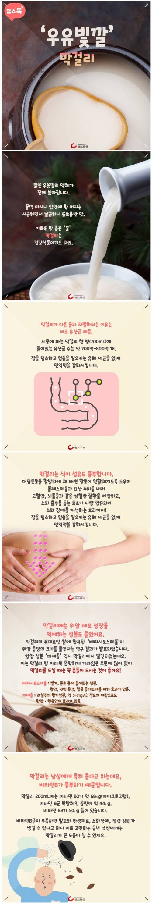 막걸리의 효능.jpg