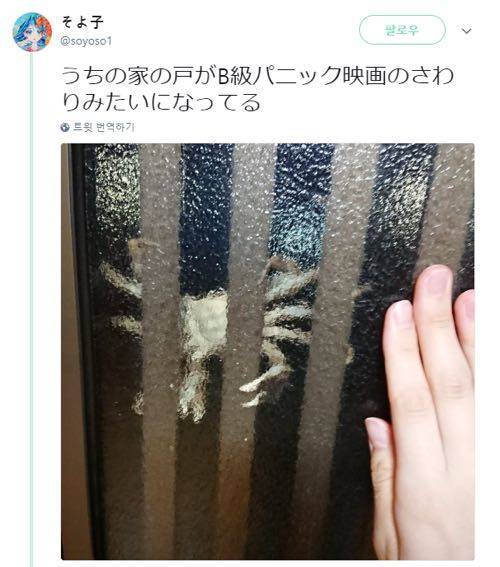 일본 오사카 근황.jpg